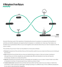 Load image into Gallery viewer, Workshop: Identify What To Start, Stop, And Improve In Your Scrum Team With Ecocycle Planning