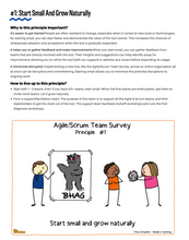 Load image into Gallery viewer, Workshop: Explore The Core Principles Of The Agile/Scrum Team Survey For Ethical Use
